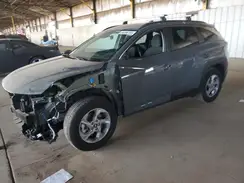 5NMJB3DE7RH392980 2024 HYUNDAI TUCSON