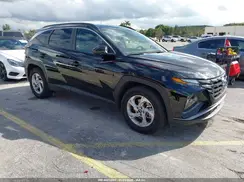 5NMJB3DE7RH406831 2024 HYUNDAI TUCSON