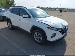 5NMJB3DE7RH421815 2024 HYUNDAI TUCSON