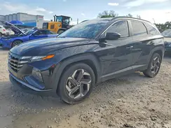 5NMJB3DE7RH428070 2024 HYUNDAI TUCSON