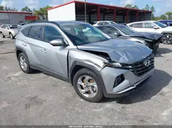 5NMJB3DE8RH295156 2024 HYUNDAI TUCSON