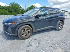 5NMJB3DE8RH302882 2024 HYUNDAI TUCSON