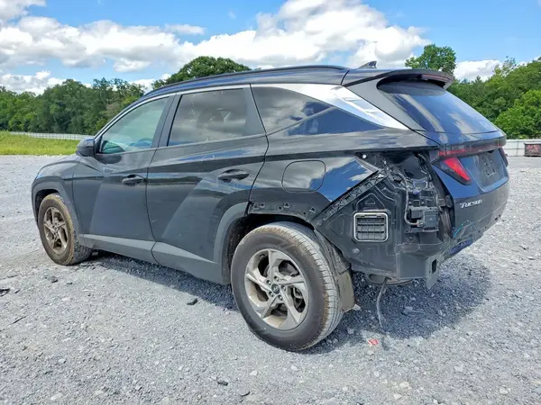 5NMJB3DE8RH302882 2024 HYUNDAI TUCSON - Image 2