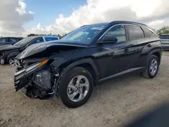 5NMJB3DE8RH305300 2024 HYUNDAI TUCSON