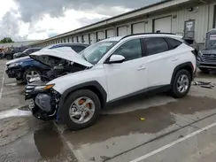 5NMJB3DE8RH305359 2024 HYUNDAI TUCSON