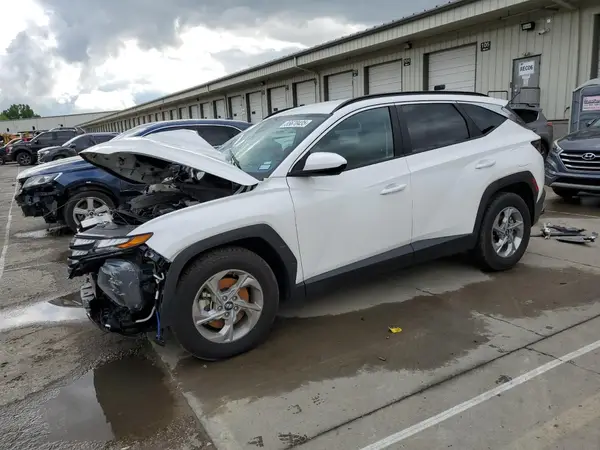 5NMJB3DE8RH305359 2024 HYUNDAI TUCSON - Image 1
