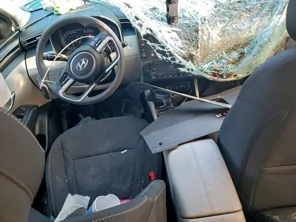 5NMJB3DE8RH306950 2024 HYUNDAI TUCSON - Image 8