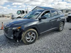 5NMJB3DE8RH311520 2024 HYUNDAI TUCSON