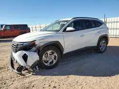 5NMJB3DE8RH315079 2024 HYUNDAI TUCSON