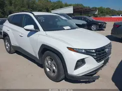 5NMJB3DE8RH316975 2024 HYUNDAI TUCSON