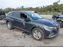 5NMJB3DE8RH337230 2024 HYUNDAI TUCSON