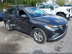 5NMJB3DE8RH342590 2024 HYUNDAI TUCSON