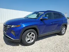 5NMJB3DE8RH344162 2024 HYUNDAI TUCSON