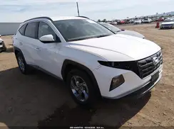 5NMJB3DE8RH348647 2024 HYUNDAI TUCSON