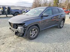 5NMJB3DE8RH354299 2024 HYUNDAI TUCSON