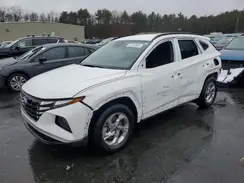 5NMJB3DE8RH359311 2024 HYUNDAI TUCSON