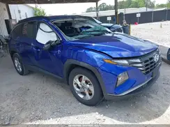5NMJB3DE8RH360331 2024 HYUNDAI TUCSON