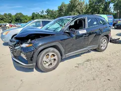 5NMJB3DE8RH362144 2024 HYUNDAI TUCSON