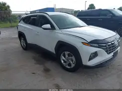 5NMJB3DE8RH384533 2024 HYUNDAI TUCSON