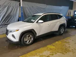 5NMJB3DE8RH385942 2024 HYUNDAI TUCSON