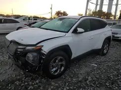 5NMJB3DE8RH386282 2024 HYUNDAI TUCSON