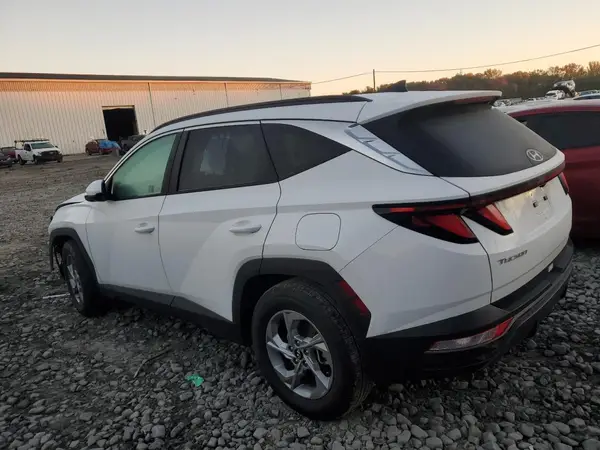 5NMJB3DE8RH386282 2024 HYUNDAI TUCSON - Image 2