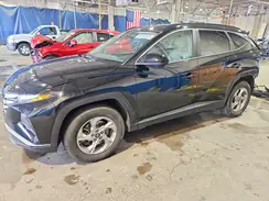 5NMJB3DE8RH386766 2024 HYUNDAI TUCSON