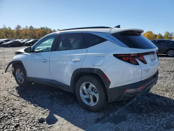 5NMJB3DE8RH394849 2024 HYUNDAI TUCSON - Image 2
