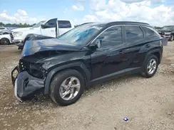 5NMJB3DE8RH404537 2024 HYUNDAI TUCSON
