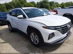 5NMJB3DE8RH410922 2024 HYUNDAI TUCSON