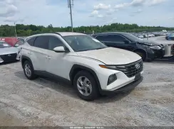 5NMJB3DE8RH421645 2024 HYUNDAI TUCSON
