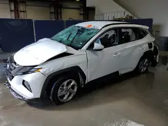 5NMJB3DE8RH422293 2024 HYUNDAI TUCSON