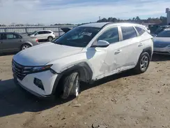 5NMJB3DE8RH422696 2024 HYUNDAI TUCSON