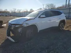 5NMJB3DE8RH423167 2024 HYUNDAI TUCSON