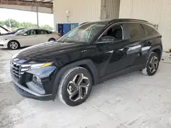 5NMJB3DE8RH426196 2024 HYUNDAI TUCSON