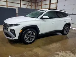 5NMJB3DE8SH491667 2025 HYUNDAI TUCSON