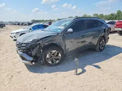 5NMJB3DE8SH502439 2025 HYUNDAI TUCSON