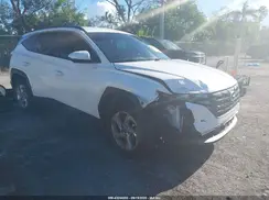 5NMJB3DE9RH295599 2024 HYUNDAI TUCSON