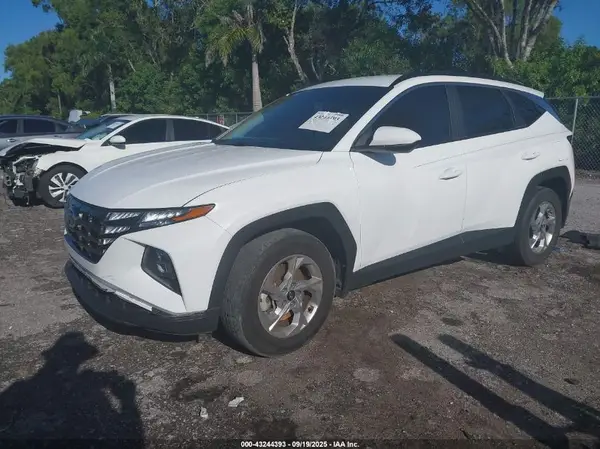 5NMJB3DE9RH295599 2024 HYUNDAI TUCSON - Image 2
