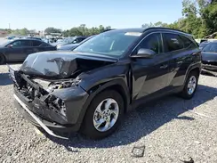 5NMJB3DE9RH300283 2024 HYUNDAI TUCSON