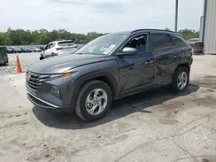 5NMJB3DE9RH301577 2024 HYUNDAI TUCSON