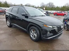 5NMJB3DE9RH304513 2024 HYUNDAI TUCSON