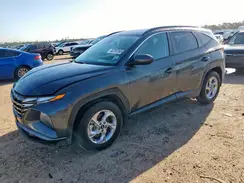 5NMJB3DE9RH310442 2024 HYUNDAI TUCSON