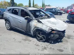 5NMJB3DE9RH338287 2024 HYUNDAI TUCSON