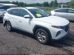5NMJB3DE9RH343053 2024 HYUNDAI TUCSON