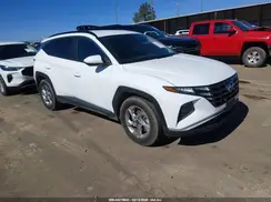 5NMJB3DE9RH359155 2024 HYUNDAI TUCSON