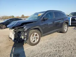 5NMJB3DE9RH365117 2024 HYUNDAI TUCSON