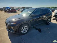 5NMJB3DE9RH366171 2024 HYUNDAI TUCSON
