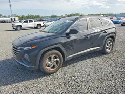 5NMJB3DE9RH376733 2024 HYUNDAI TUCSON