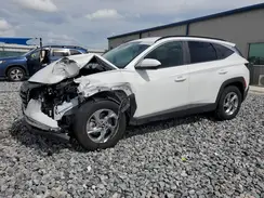 5NMJB3DE9RH384072 2024 HYUNDAI TUCSON